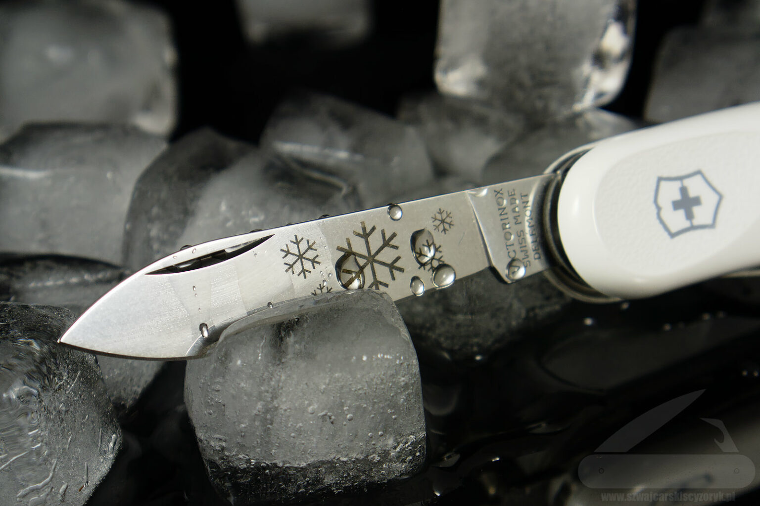 Victorinox Evolution White Christmas I Zn W Ca Y Na Bia O