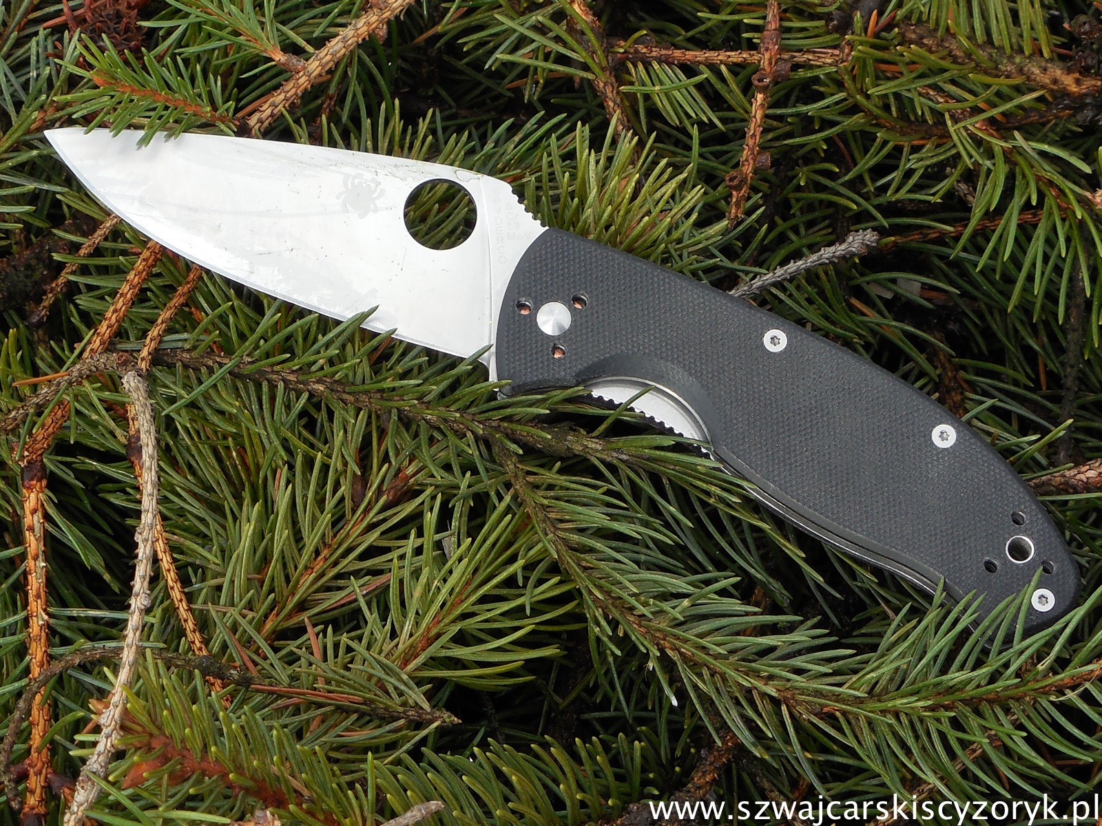 Spyderco Tenacious – duży może więcej | szwajcarskiscyzoryk.pl